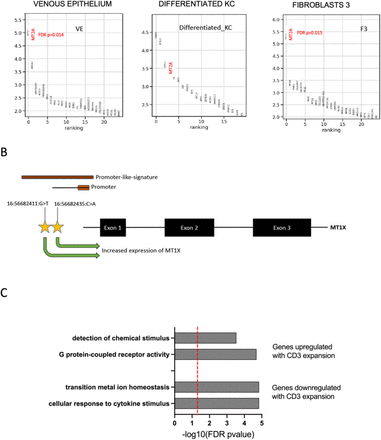 Supplementary Figure 6