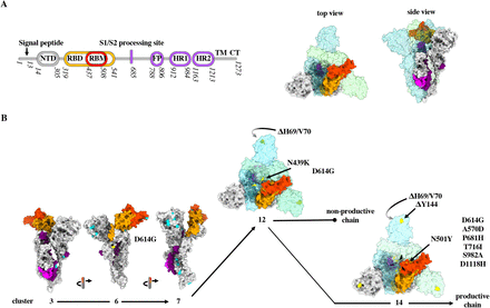 Figure 3.