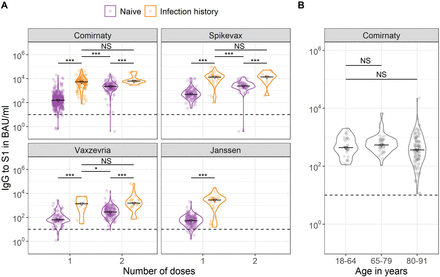 Figure 2: