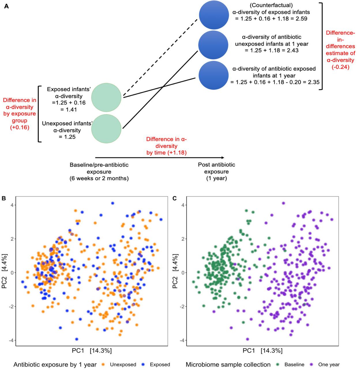 Impact of antibiotics to off-target infant gut microbiota and resistance genes in cohort studies medRxiv picture