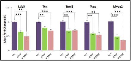 Figure 5.