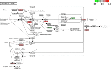 Figure 11.