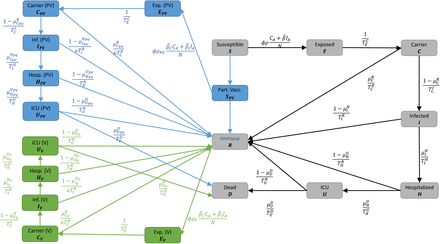 Fig 1.