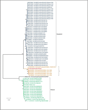 Figure 2: