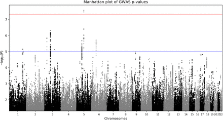 Figure 2: