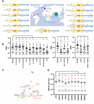 Figure 3: