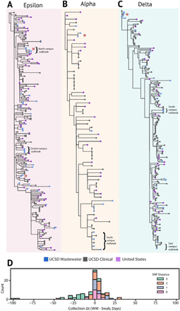 Figure 5: