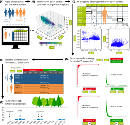 Figure 2: