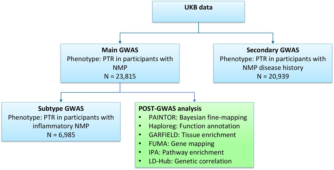 Genome-wide association study of nociceptive musculoskeletal pain treatment  response in UK Biobank