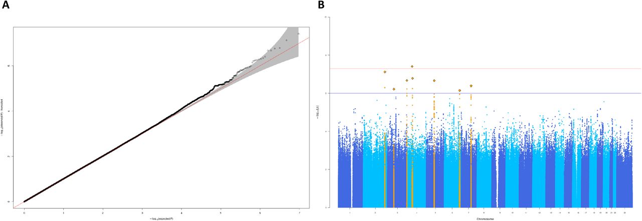 Genome-wide association study of nociceptive musculoskeletal pain treatment  response in UK Biobank