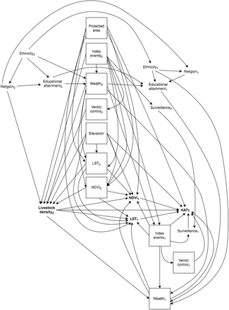 Fig 3.