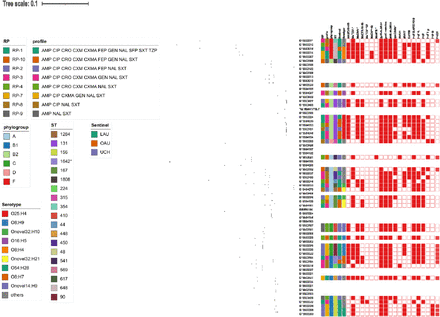 Supplementary Figure 3: