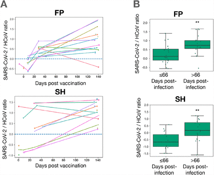 Figure 4: