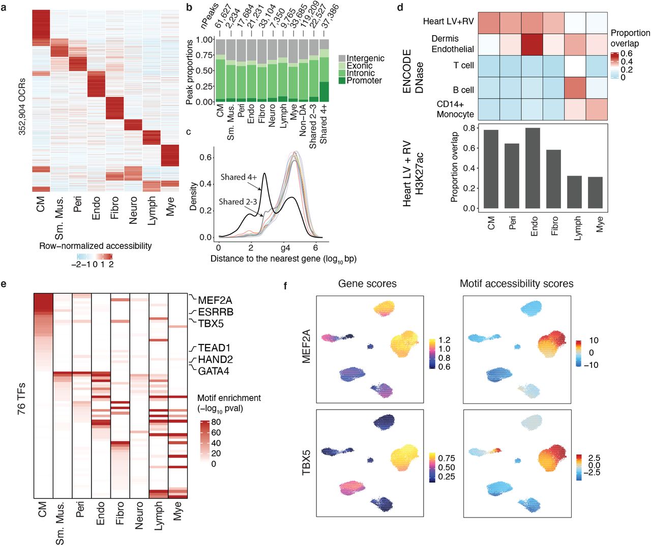 Single-Cell Epigenomics and Functional Fine-Mapping of