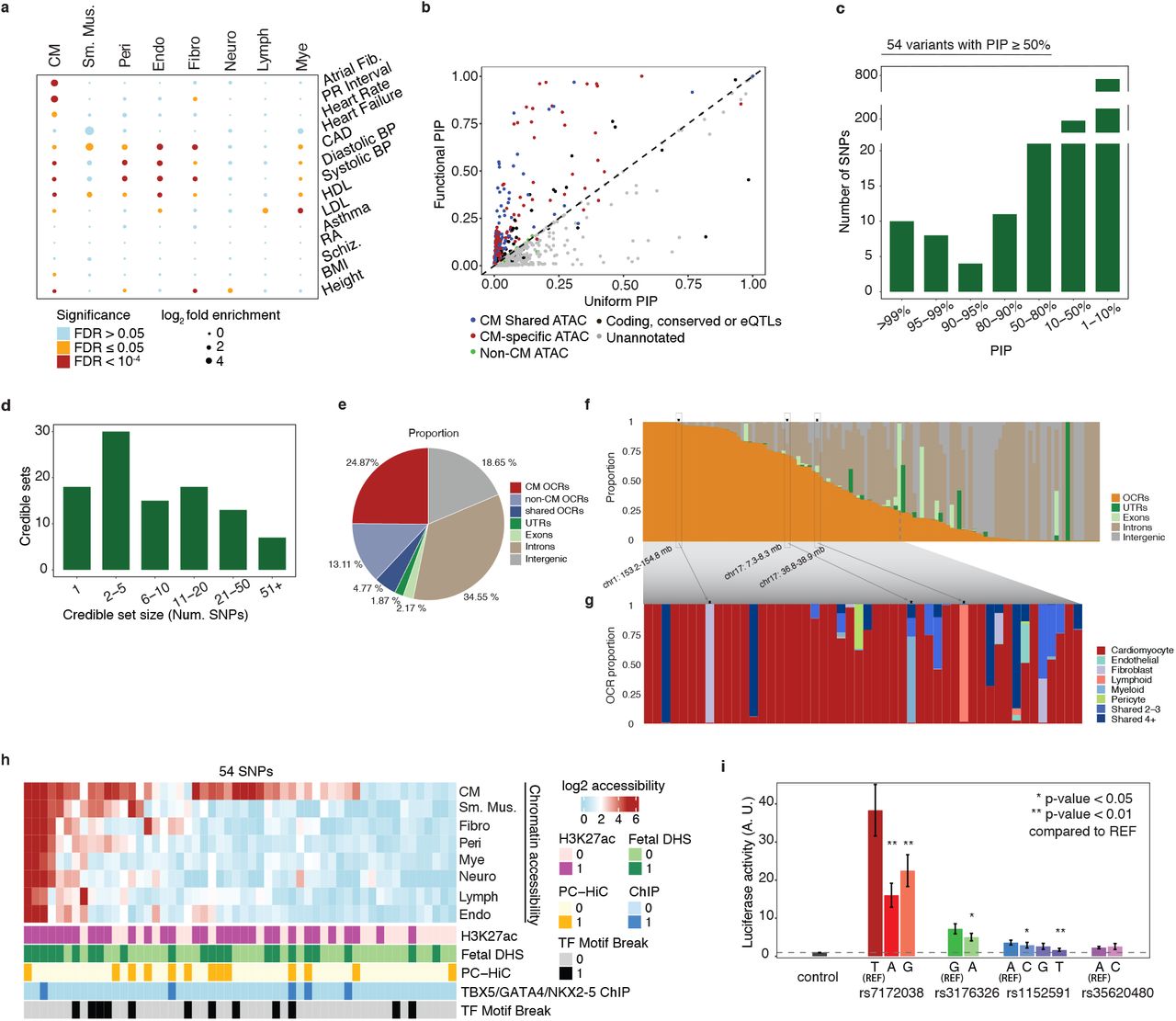 Single-Cell Epigenomics and Functional Fine-Mapping of