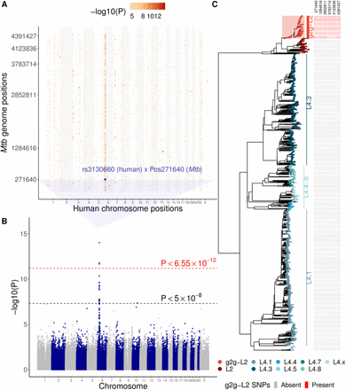 FIG 2.