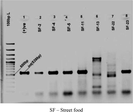 Figure 7