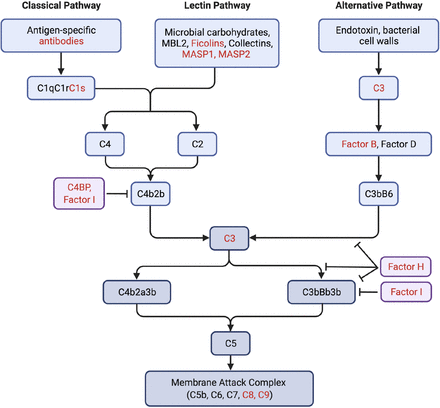 Figure 5.