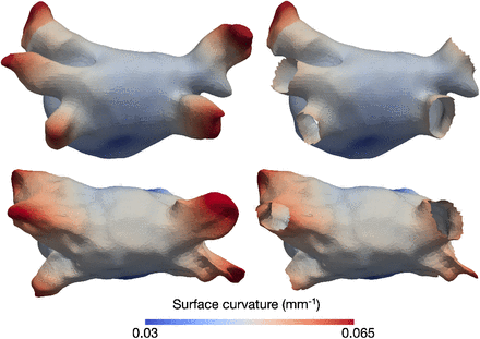 Fig. 3.