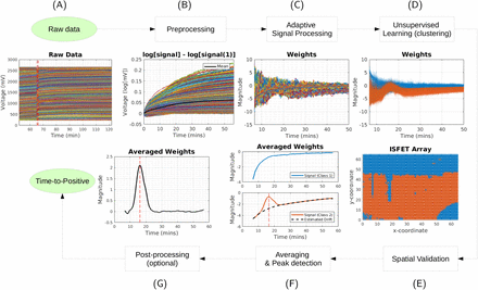 Figure 2: