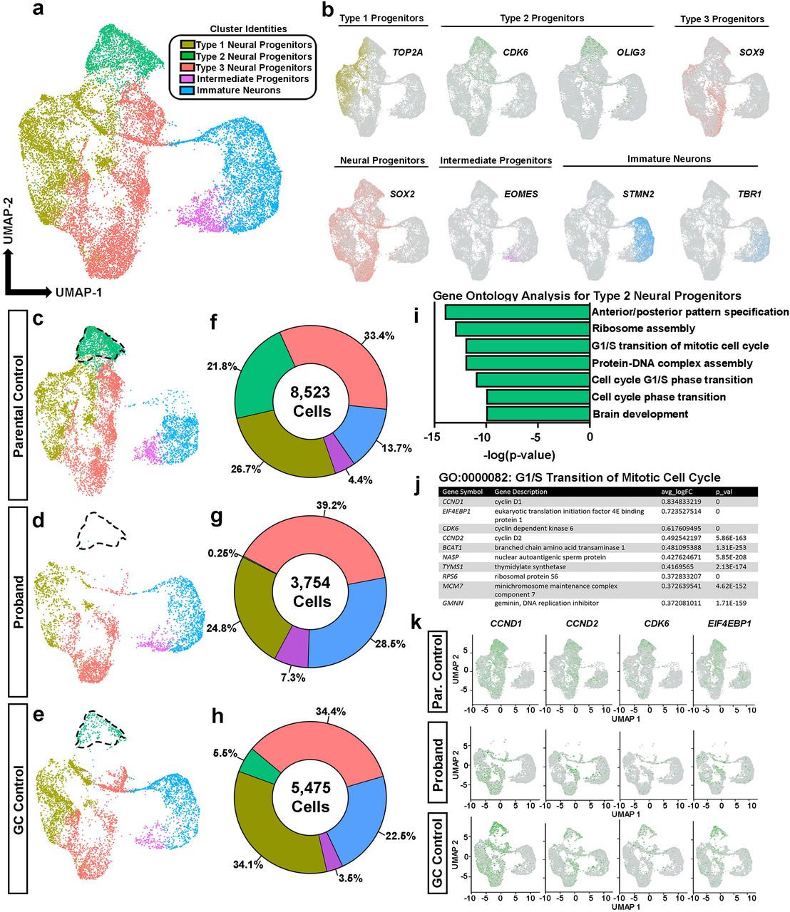 NRF1 Association with AUTS2-Polycomb Mediates Specific Gene Activation in  the Brain