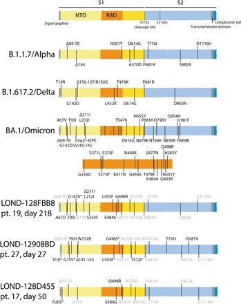 Figure 5: