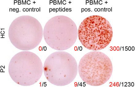 Fig. 6: