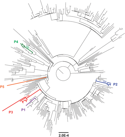 Fig. 7: