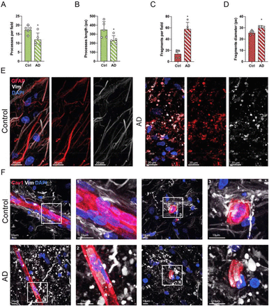 Supplementary Figure 3: