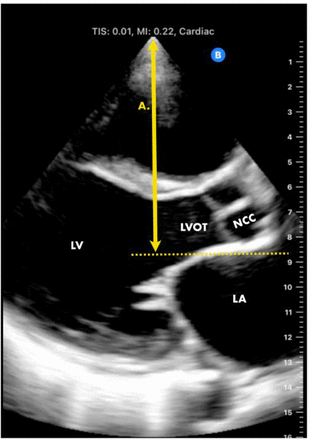 Figure 1: