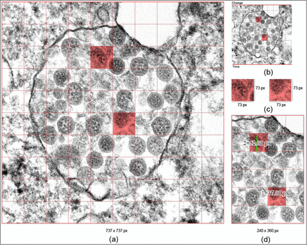 Fig 3.