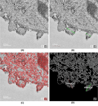 Fig 6.