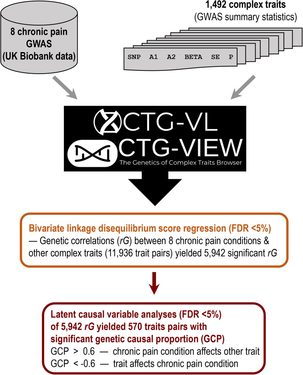 Genome-wide association study of nociceptive musculoskeletal pain treatment  response in UK Biobank