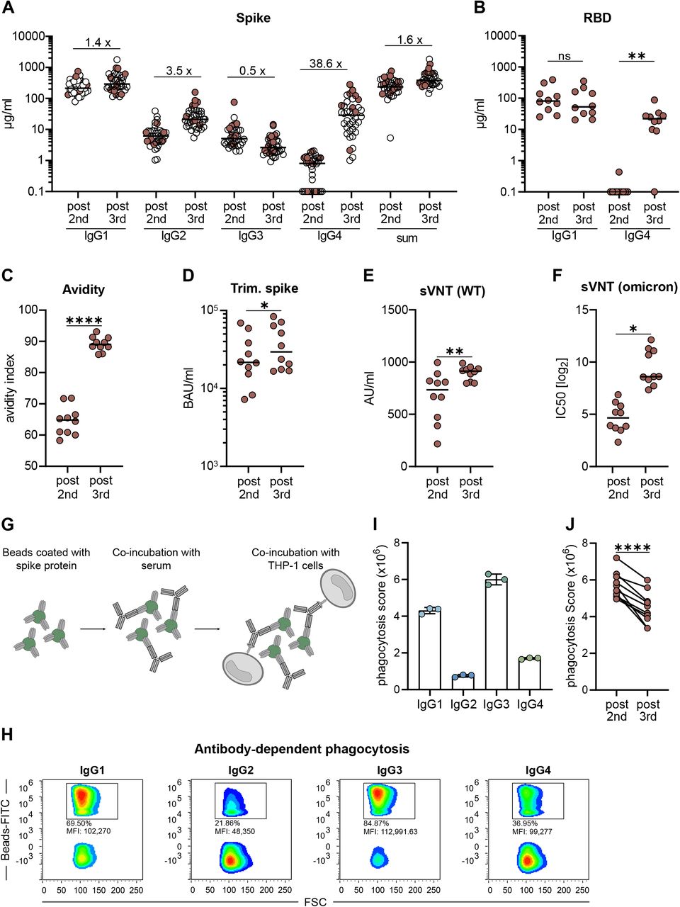 Class switch toward noninflammatory, spike-specific IgG4 antibodies after  repeated SARS-CoV-2 mRNA vaccination