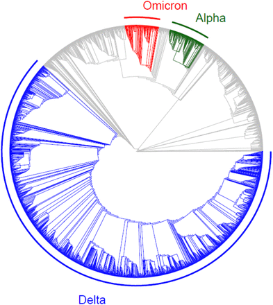 Figure 4: