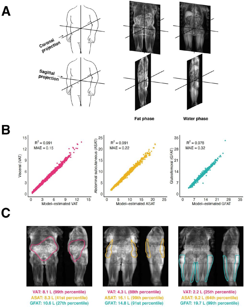 Frontiers  DXA-Derived Adiposity and Lean Indices for Management of  Cardiometabolic and Musculoskeletal Frailty: Data Interpretation Tricks and  Reporting Tips