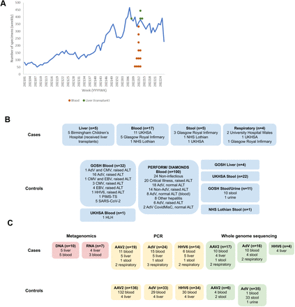 Figure 1: