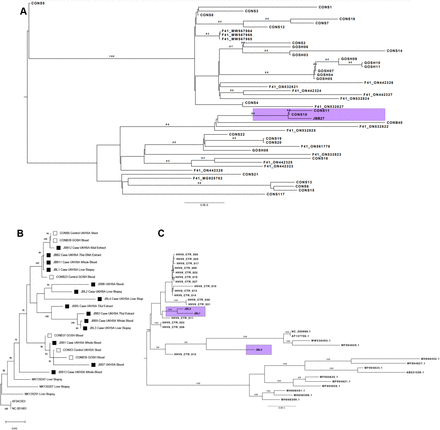 Figure 3: