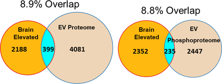 Supplementary Figure 3.