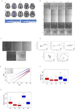 Figure 1: