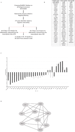 Figure 2: