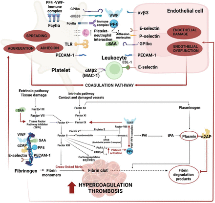 Figure 11: