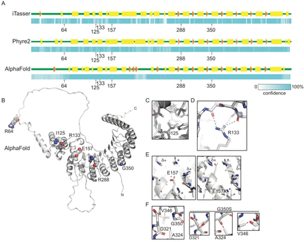 Figure 10: