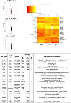 Figure 5: