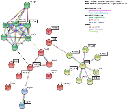 Figure 6: