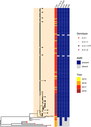 Figure 4: