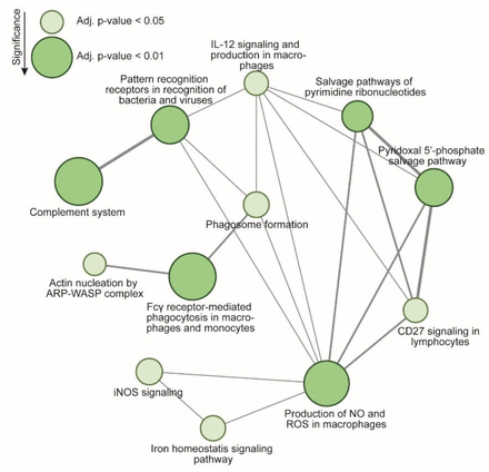 Figure 3.