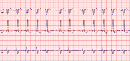 Figure 6: