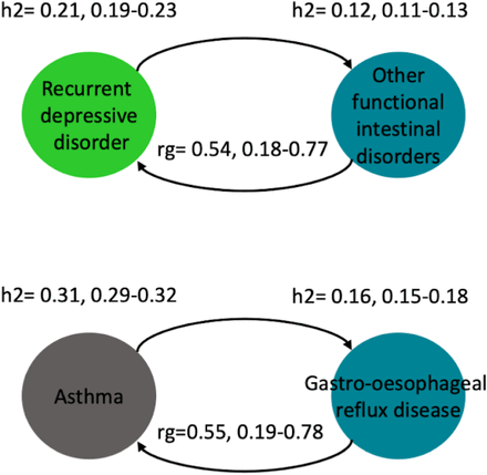 Figure 11: