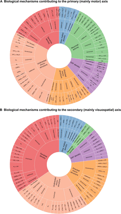 Figure 6: